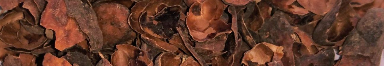 Primjena kakaove ljuske u proizvodnji čokolade i srodnih proizvoda (COCOCHOCO)